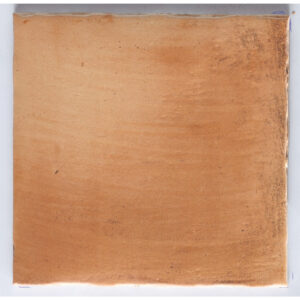 Carrelage Imitant Terre cuite FUEGO ANTIC 22,5X22,5 cm
