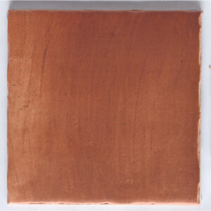Carrelage Imitant Terre cuite FUEGO TEJA 22,5X22,5 cm