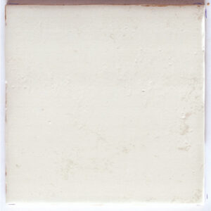 Carrelage Imitant Terre cuite FUEGO BLANCO 22,5X22,5 cm