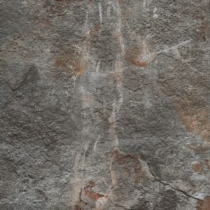 Carrelage Imitant Ardoise GEOLOGY FOSSIL 25X25 cm R11C