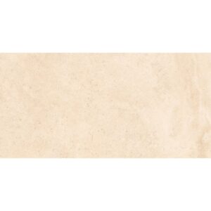 Carrelage Imitant Marbre TRADITION CULTURE 50X100 cm R11C