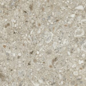 Carrelage Imitant Ardoise REACTION TRACE 60X60 cm